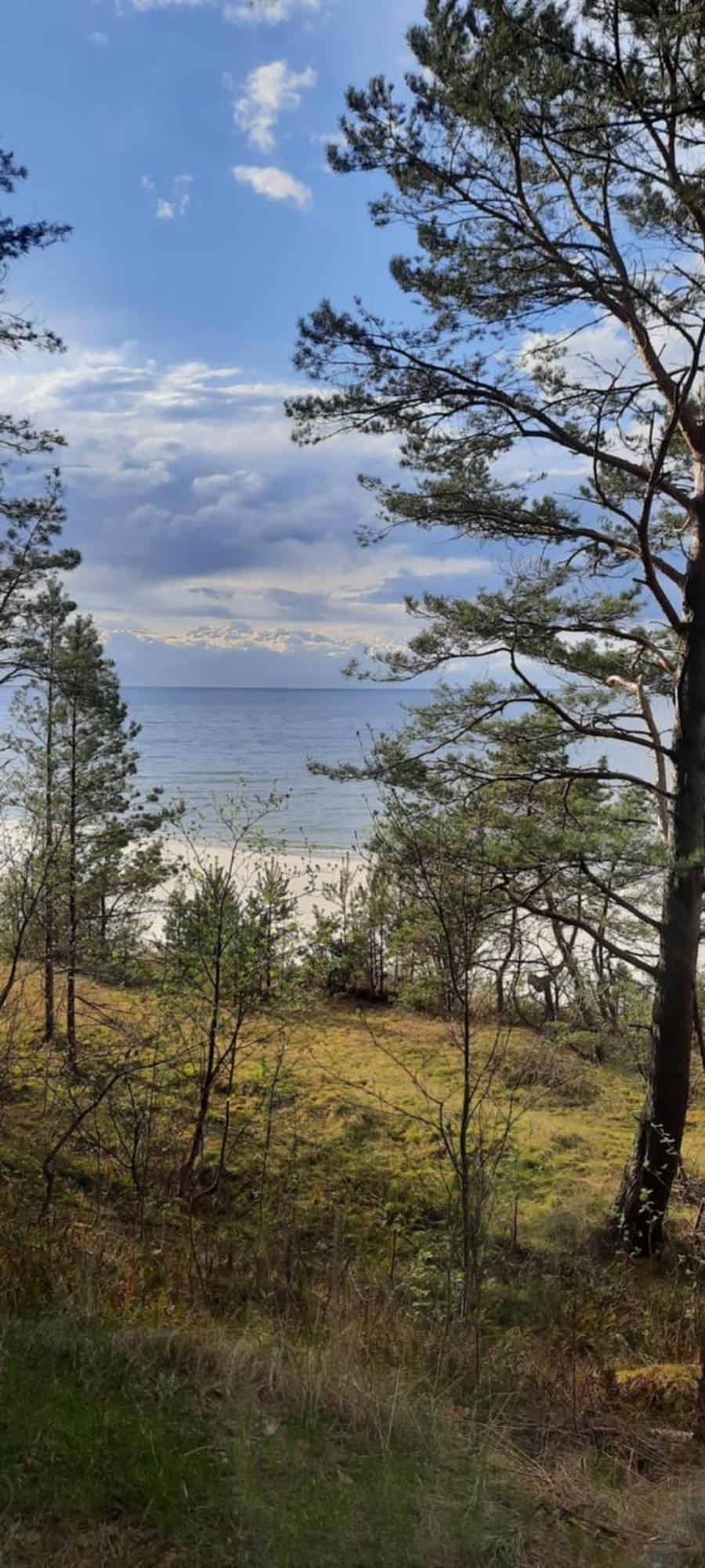 Pokoje Goscinne Nord Крыница-Морска Экстерьер фото